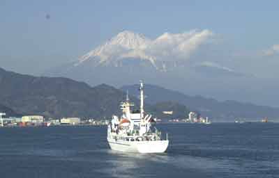 富士山を仰ぎながら、船足を速める望星丸