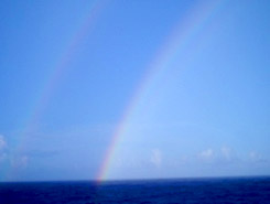 船上から見えた虹